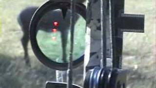 SABO Bow Sight by Tactical Archery Systems [upl. by Edrick]