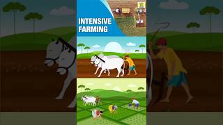 Meaning amp Characteristics of Intensive Subsistence Farming  shorts geography upsc farming [upl. by Yecak]