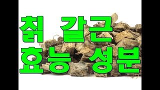 칡kudzu root 갈근의 한의학적 효능 [upl. by Dee]