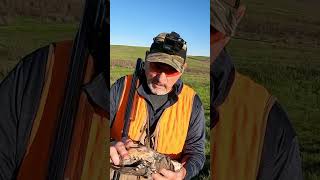 Chukars chukarhunting chukar uplandhunting hunting birdhunt pheasanthunting quailhunting [upl. by Valenta]