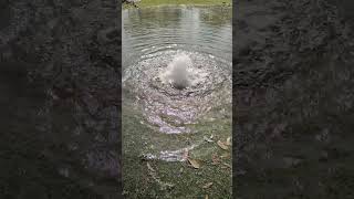 Hazara Dhol Beat with Mini Water Fountain ⛲ dhol nature [upl. by Yrffoeg]