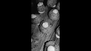 Mushroom Croquettes [upl. by Pyne]