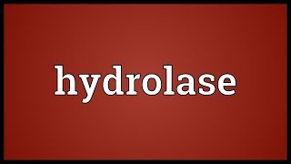 Hydrolase Meaning [upl. by Ybloc812]