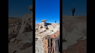 Petrified Forest National Park Arizona USA [upl. by Enniroc897]