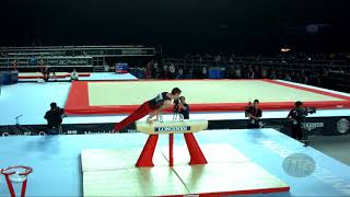 PELLERIN Thierry CAN  2017 Artistic Worlds Montréal CAN  Qualifications Pommel Horse [upl. by Nodearb816]