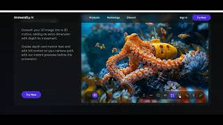 Immersity AI Plataforma de IA que Convierte Imágenes y Videos en 3D [upl. by Bertram945]