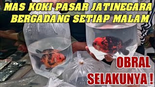 🔴 KOKI JUMBO MURAH NICH‼️ CEK UPDATE HARGA TERMURAH MAS KOKI TERBARU BAMBANG PASAR IKAN JATINEGARA [upl. by Nikki]