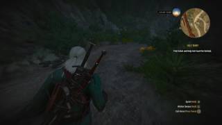 The Witcher 3 Find Eskel and Help Him Hunt the Forktail [upl. by Nnylylloh]