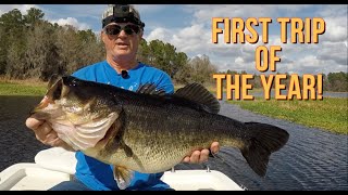 Shiner Fishing Floating Cover For Big Florida Bass [upl. by Panter]