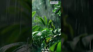 Ye mosam ki barish🌧 Ye baarish ka paani☔ status video shortsfeed status shorts subscribe [upl. by Aikem]