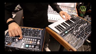 EUGENE meets ARTURIA DrumBrute Impact amp MiniBrute 2 [upl. by Griseldis]