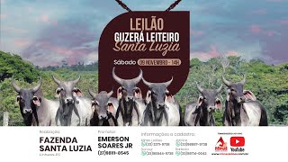 Leilão Touro Guzerá Leiteiro Santa Luzia  09 de Novembro 2024 [upl. by Kepner18]