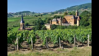 quotLes beaujolais nouveaux sont des vins gouleyants qui appellent à boirequot [upl. by Uriiah]