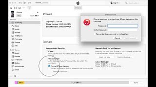 How to Encrypt Your iTunes Backup [upl. by Elenahc]