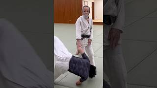 腰の回転Hip rotationaikido martialarts aikidotechniques combatsport fightingsport 合気道 [upl. by Ahsilahk]