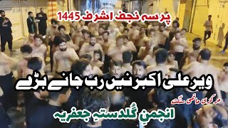 03 Muharram 1445  NAJAF IRAQ  Veer ALI AKBAR SWT Ne Rab Jane  Anjuman e Guldasta e Jaffria [upl. by Coy]