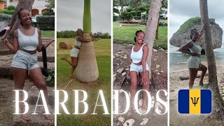 Barbados Solo Trip Vegan Food  Wildlife Reserve St Nicholas Abbey  Bathsheba  St Lawrence Gap [upl. by Jody]