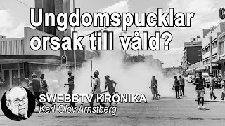 Krönika med KarlOlov Arnstberg  Ungdomspucklar och våld [upl. by Delsman]