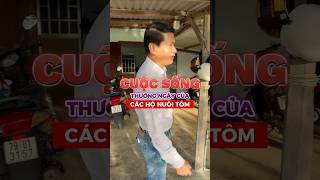 CUỘC SỐNG NGƯỜI NUÔI TÔM I Trần Quang Huy Official [upl. by Nalat409]