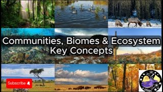 Communities Biomes amp Ecosystems  Key Concepts Overview Questions Study Tool  Audio [upl. by Aramoiz589]