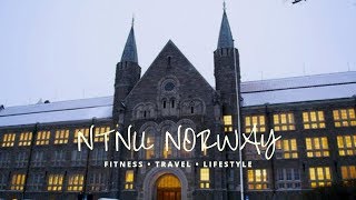 NTNU TRONDHEIM THE MOST BEAUTIFUL UNIVERSITY IN EUROPE [upl. by Araik]