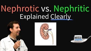 Nephrotic Syndrome vs Nephritic Syndrome Explained Nephritic vs Nephrotic [upl. by Dranyer271]