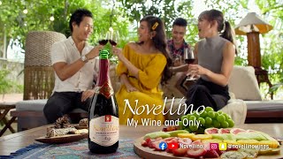 Moments Made More Special with Novellino Full Video [upl. by Hewie465]