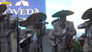 Mariachi Internacional Los Perez  Es bonito zacatecas [upl. by Einegue]