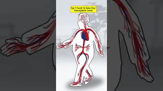 Raise Your Hemoglobin Levels health healthtips [upl. by Morrison]