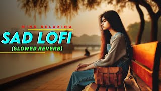 🎵 Best Slow Reverb Lofi Mashup 💕  Mind Relaxing Lofi Songs 2024  Riyan Muzik [upl. by Nylodam]