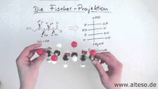 Die FischerProjektion [upl. by Drhacir]