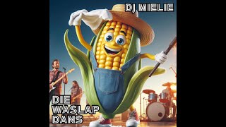 DJ MIELIE  Die Waslap Dans [upl. by Sumaes]