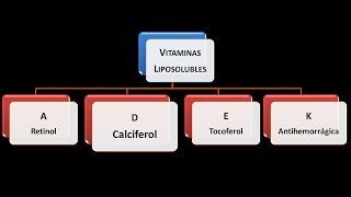 Vitaminas liposolubles Vitamina D [upl. by Yam879]