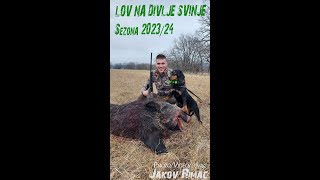 Lov na divlje svinje 202324 [upl. by Dlorej24]