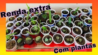 Como ter uma renda extra vendendo plantas 💚🪴🌵 [upl. by Gilles733]