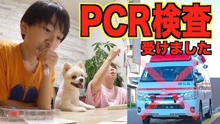 急遽病院へ？？PCR検査受けました！結果は・・ [upl. by Ottie927]