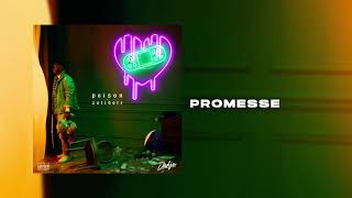 DADJU  Promesse Audio Officiel [upl. by Janot]