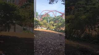 Dare Devil Dive at Six Flags Over Georgia Offride [upl. by Obola]