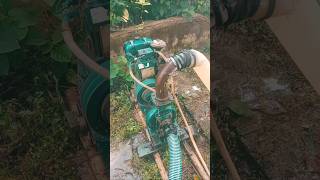 5 kva diesel generator  best diesel generator for farming  diesel engine generator shorts viral [upl. by Olumor497]