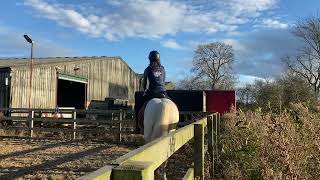 Aniela Newton riding Allegro October 24 BD elementary 3 [upl. by Anaimad]