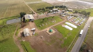 Produção de leite Dia de Campo na Fazenda Daros [upl. by Antonie]