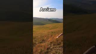 가족여행 15일 토스카나 아시아노 travel youtubeshorts 여행 italy asciano shorts toscana [upl. by Nnarefinnej]