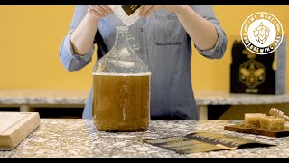 Mead Making Kit  Honey Wine [upl. by Gautier673]