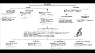 SYNDROME INFLAMMATOIRE BIOLOGIQUE Fiche [upl. by Inilahs]