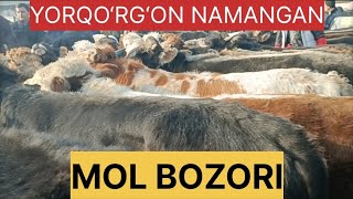 YORQO‘RG‘ON NAMANGAN MOL BOZORI [upl. by Ahsitniuq]