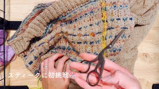 スティークに挑戦！編み地を切ります✂️ [upl. by Heidy]