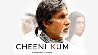 Cheeni Kum Full Movie Review in Hindi  Story and Fact Explained  Amitabh Bachchan [upl. by Ott]