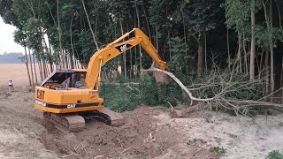 Cat E120B excavator cleaning tree for new road project [upl. by Trahern866]