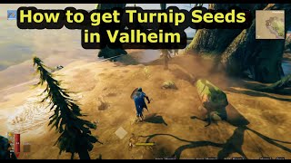 getting Turnip Seeds Fast from Swamps  First blob kill hhhh  Valheim Mistlands [upl. by Gnov638]