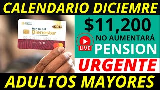 No aumentará la pensión 2025 Y calendario diciembre pago de 11 mil 200 💰✅ [upl. by Timms546]